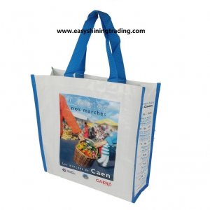 non woven polypropylene bags