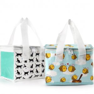 Insulated Lunch Tote bag