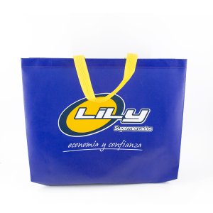  Promotional non woven bag