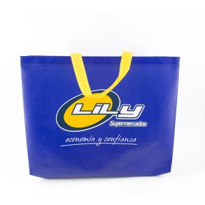  Promotional non woven bag