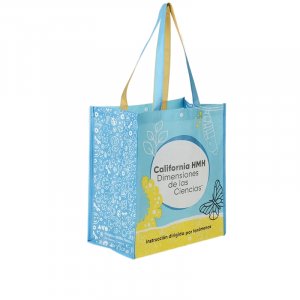 PP non woven tote bag